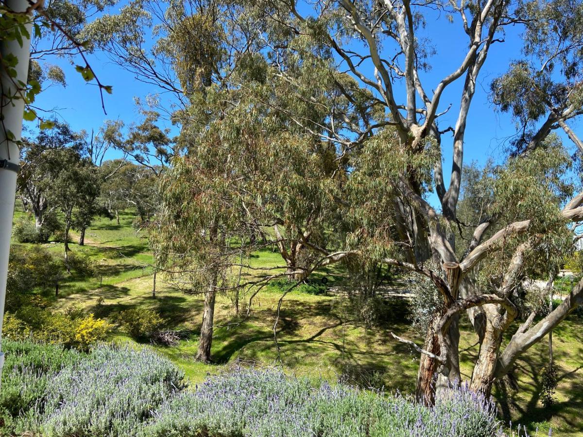 Watervale Battunga Cottages מראה חיצוני תמונה