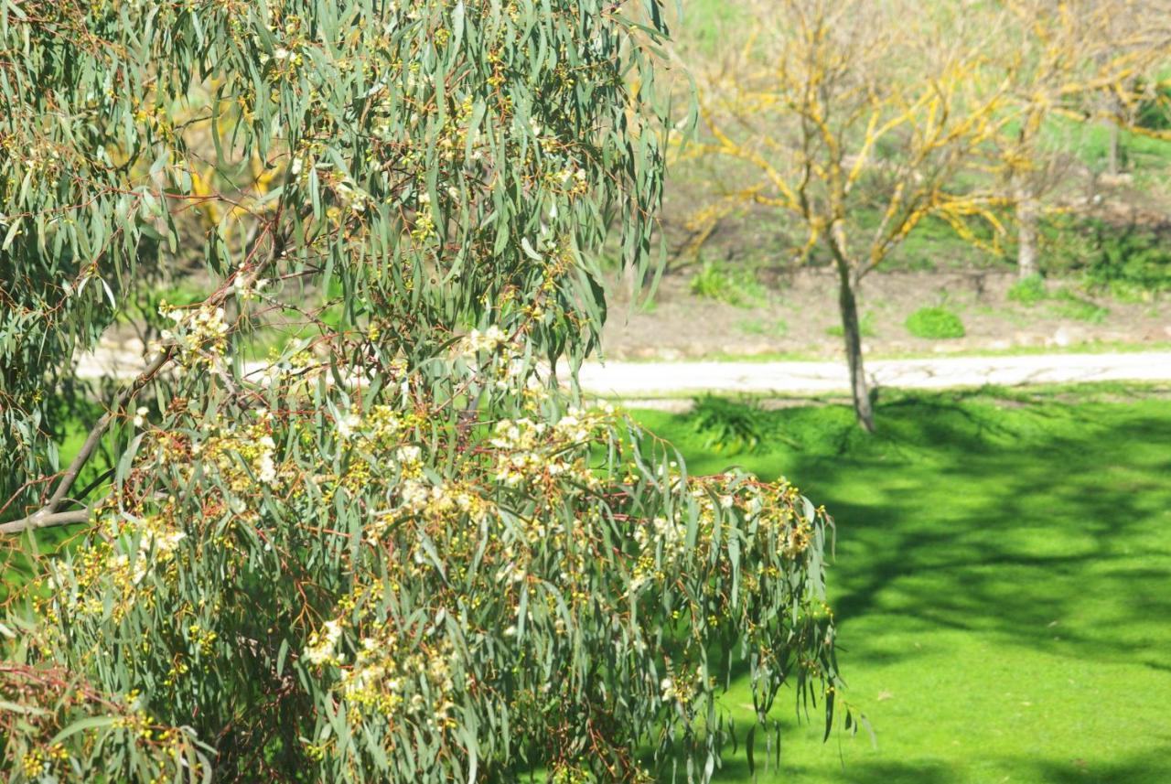 Watervale Battunga Cottages מראה חיצוני תמונה