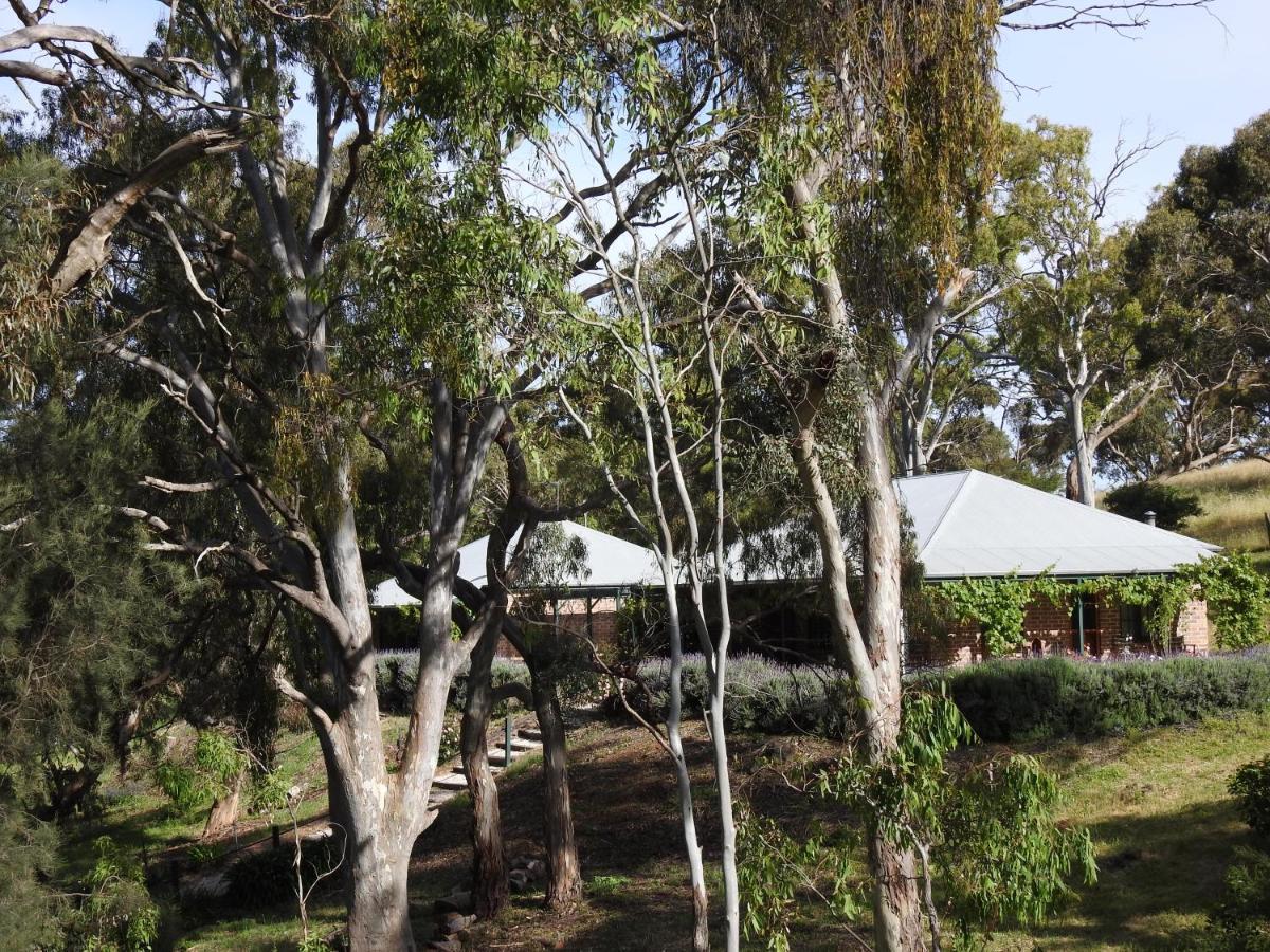 Watervale Battunga Cottages מראה חיצוני תמונה
