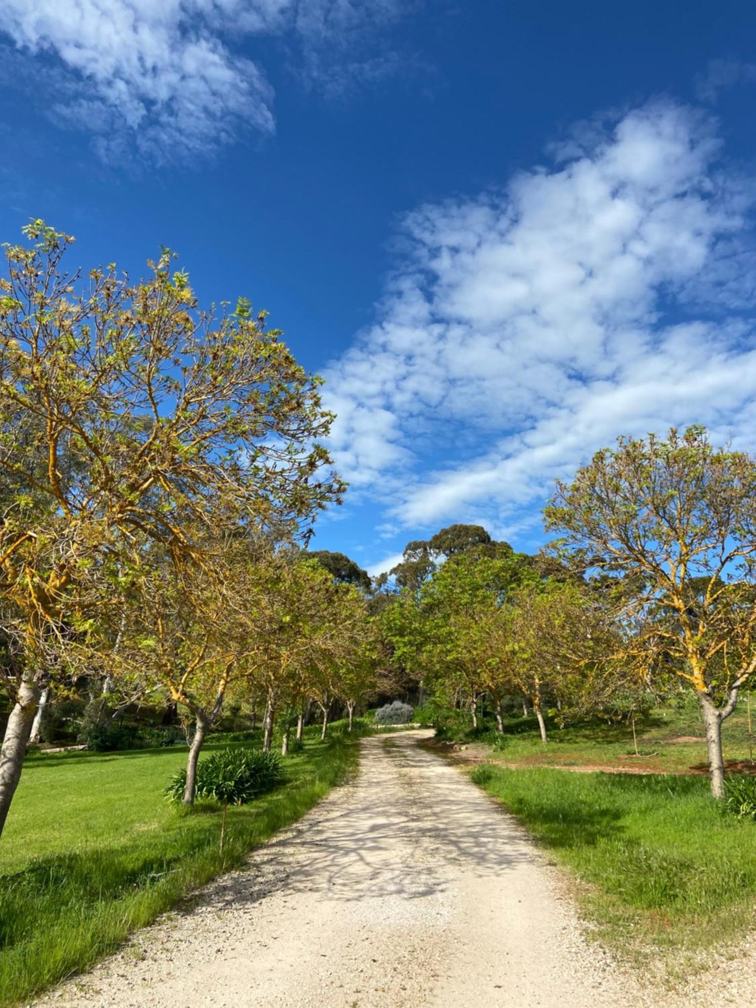 Watervale Battunga Cottages מראה חיצוני תמונה