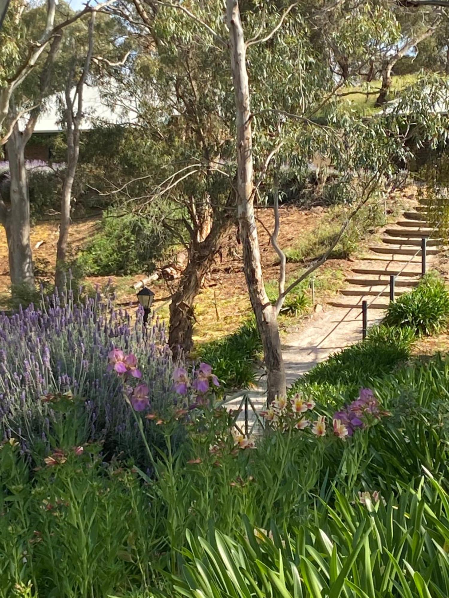 Watervale Battunga Cottages מראה חיצוני תמונה